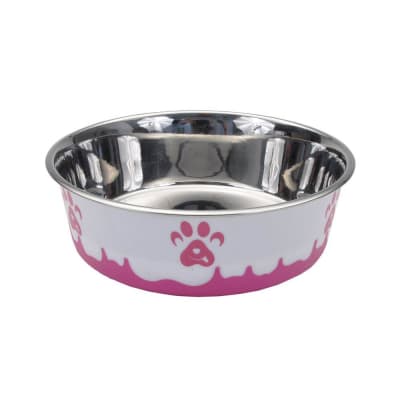 Coastal Maslow Plato paw Rosado 384 ml1