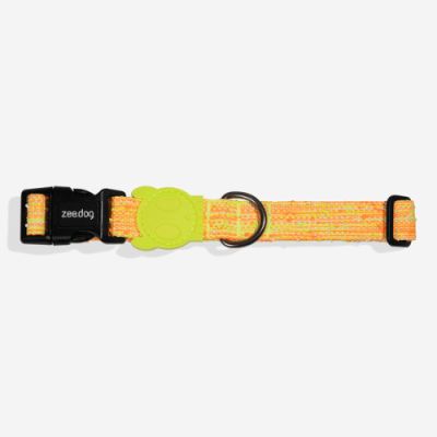 ZeeDog collar Bikr1