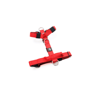 Street Dogs Arnes Mini Strap RED1