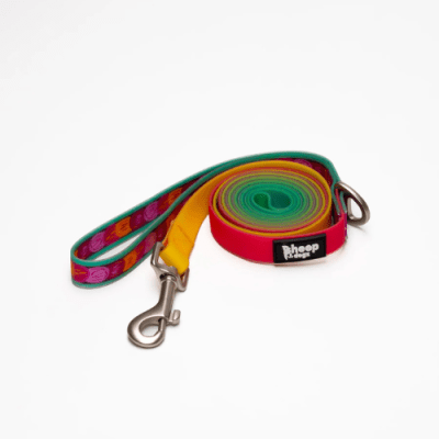 Correa impermeable Astroemeria1