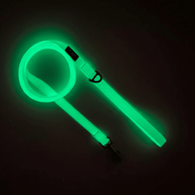 Correa impermeable Lumina1