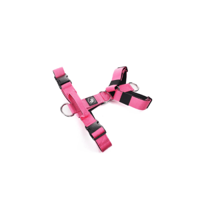 Street Dogs Arnes Strap Pink1