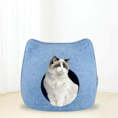 Refugio felino colores1