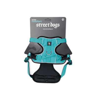 Street Dogs Arnes Comfort Turquesa1