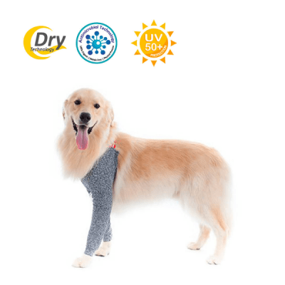 Protector miembros anteriores1