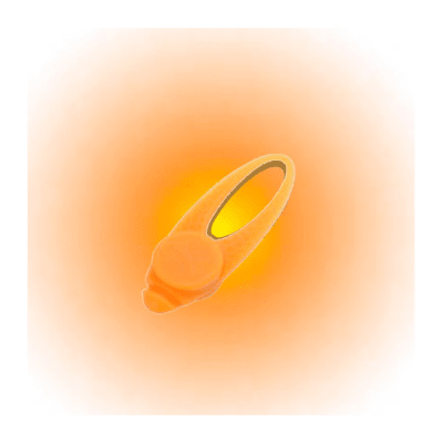 Coastal Luz para collar2