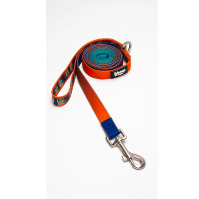 Correa impermeable Martin pescador1