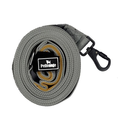 Correa Petlounge 5 metros Gris1