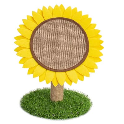 GIRASOL RASCADOR1