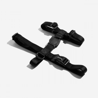 Gotham Harness Dog2