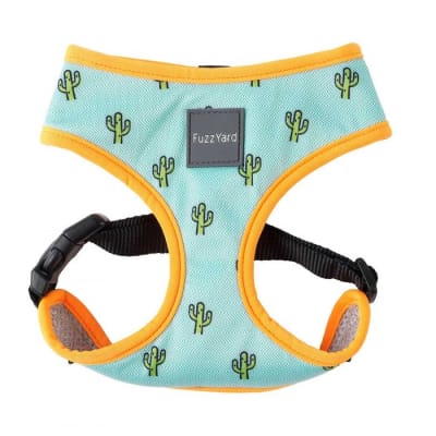 Arnes Fuzzyard Tucson1