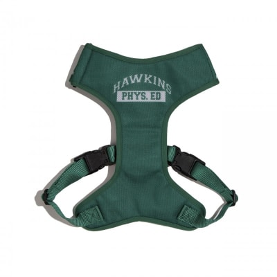 Stranger Things Arnes pechera L1