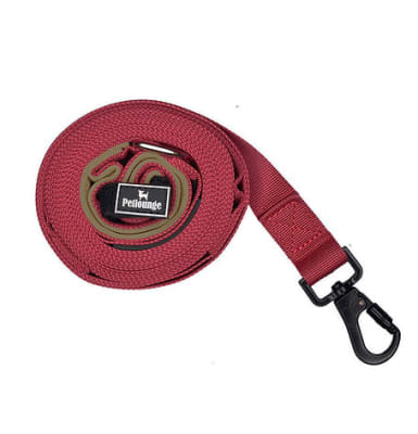 Correa Petlounge 3 metros Burdeo1