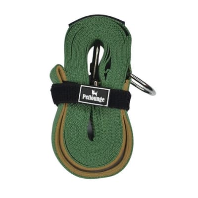 Correa Petlounge 5 metros Verde1