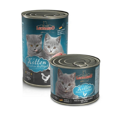 Leonardo seleccion Kitten 1