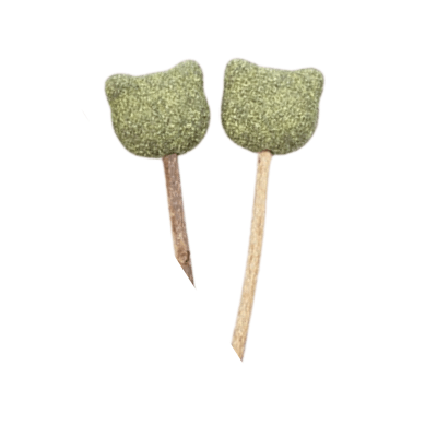 Paleta Catnip gato 1