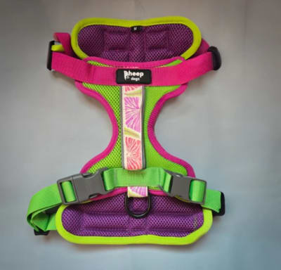 Arnes puelo floral Doca1