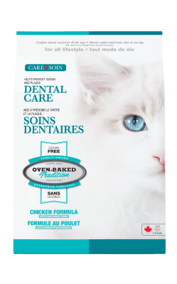 Obt Care Cat Gf dental care1