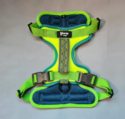 Arnes puelo floral chagual arica1