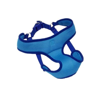 Coastal Comfort Soft Arnes Azul1