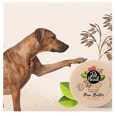 Pet head mantequilla de avena para patas 40 gr1