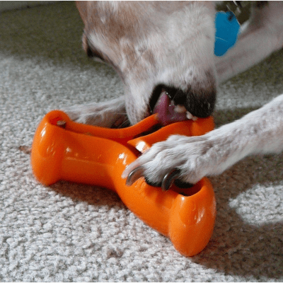 Kong Quest Wishbone1