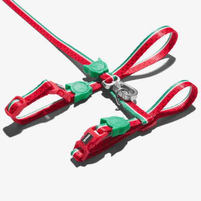 Lola Harness Gato set1