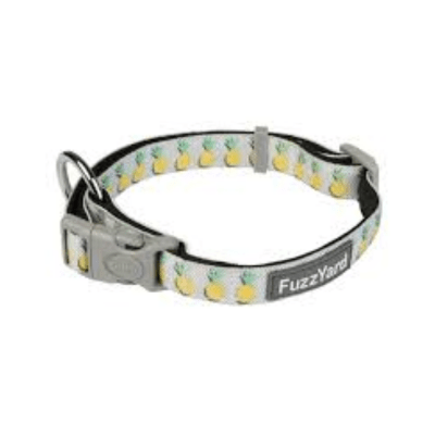Dog Collar Pina colada1