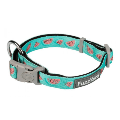 Dog Collar Summer Punch1