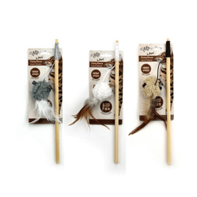 AFP lamb flying mouse1