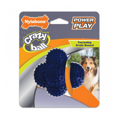 Nylabone play crazy ball1