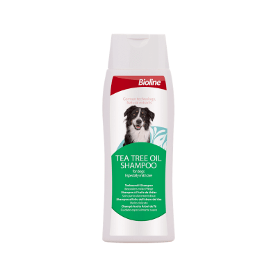 Shampoo teatree1
