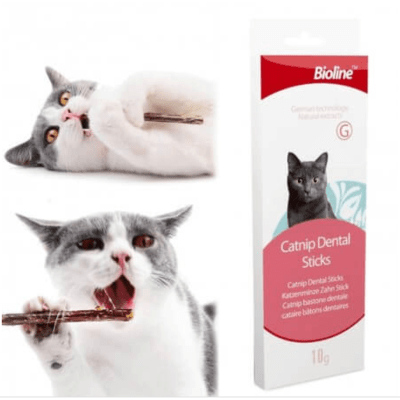 Catnip dental stick1