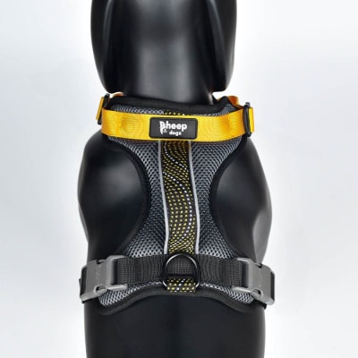 Arnés trinar andino Pinguino Rey1