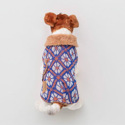 Eco capa Rayen Azul1