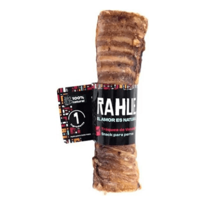 Rahue Traquea Vacuno 15cm1