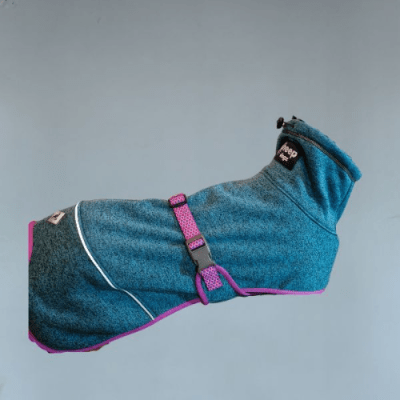 Polar Dawson Picaflor De Arica1