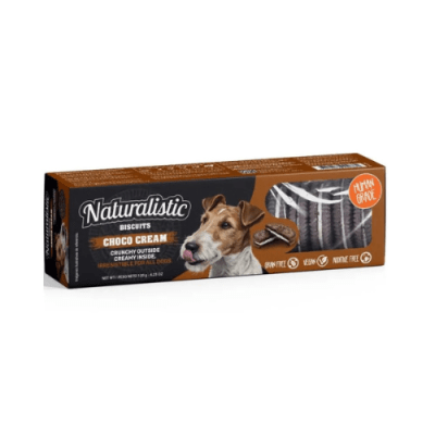NT galletas choco cream 120gr1