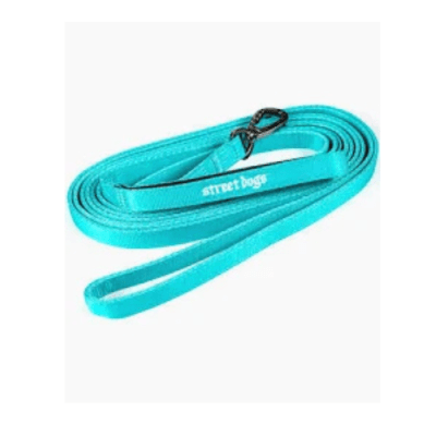 Street Dogs correa light 5 metros (turquesa)2