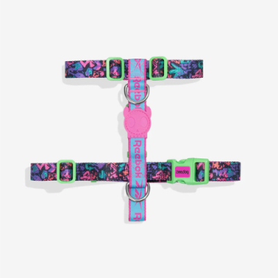 Zeedog Arnes Reebok Aerobic1