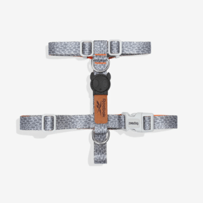 Zeedog Arnes Reebok Sude1