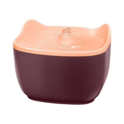 Bebedero orejas de Gato1