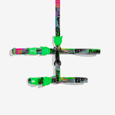 Lozt Manifesto set arnes gato2