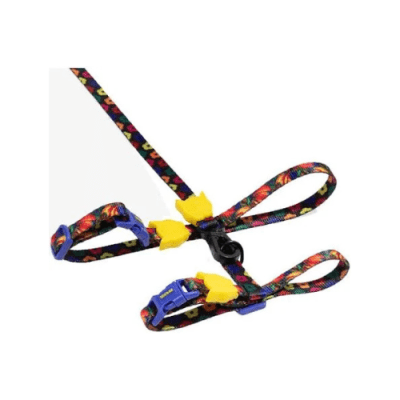 ZeeCat arnes set Samba1