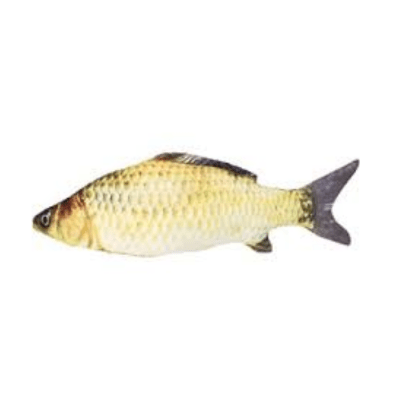 Peluche pez carpa1