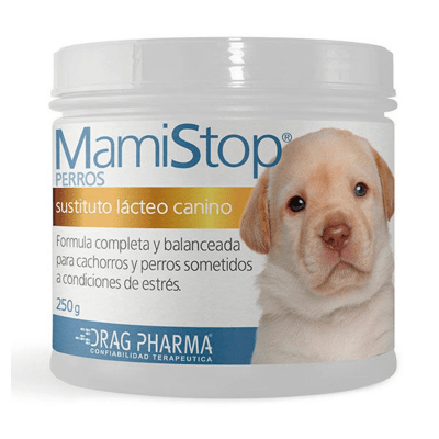 MamiStop perros1