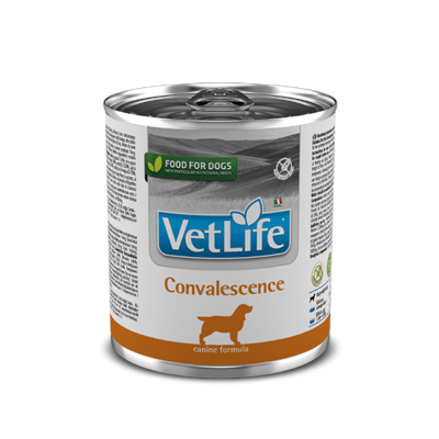 Vet Life Convalescence 300 grs1