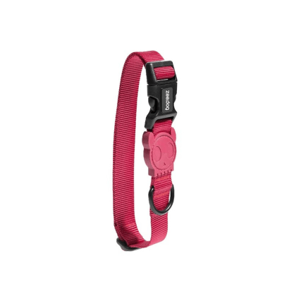 Bordeau collar cat1
