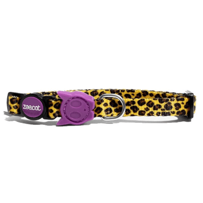 Honey collar cat1