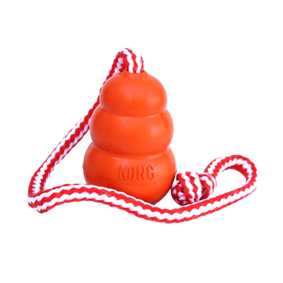 Kong Aqua L1